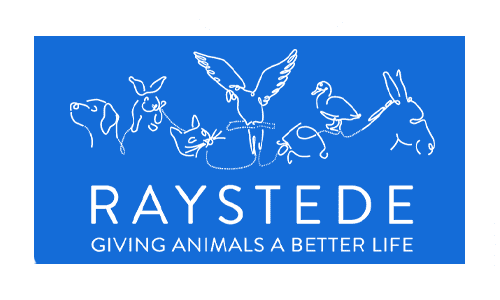 raystede